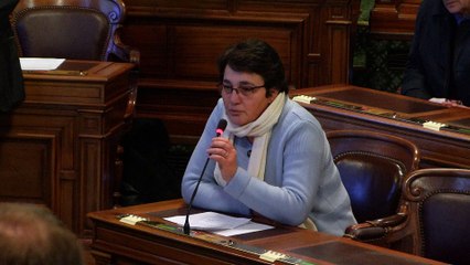 Conférence de consensus à l'Hôtel de Ville - 25 janvier 2019 - Expression libre - Salle du Conseil de Paris 5