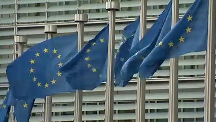 La commissione vede nero: frena la crescita nell'area euro