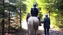 See The Horses Giving People A Second Chance At Life