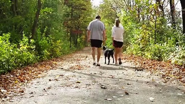 This Group Of Volunteer Pilots Is On A Mission To Save Shelter Animals Across The U.S.