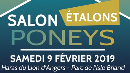 SALON DES ETALONS PONEYS DU LION D'ANGERS 2019
