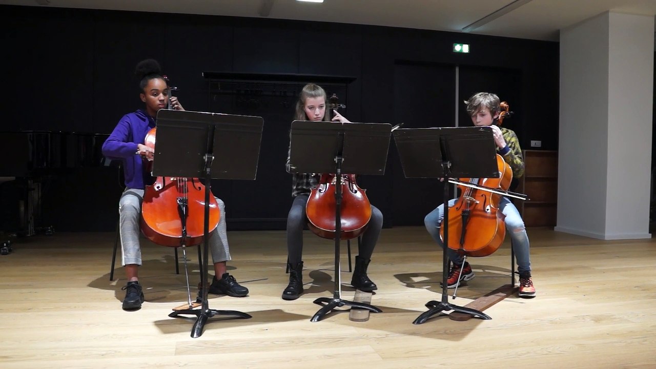 Audition Violoncelle Février 2019