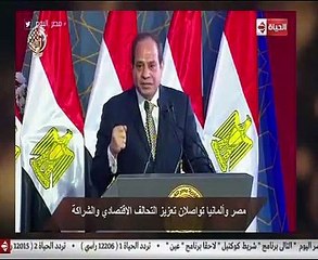 توفيق عكاشة: مصر وألمانيا تواصلان تعزيز التحالف الاقتصادى