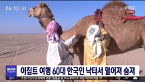 이집트 여행 60대 한국인 낙타서 떨어져 숨져
