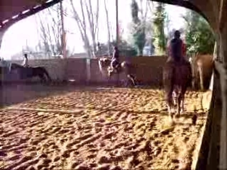 stage dressage