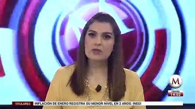 Decomisan 319 plantas de mariguana en Allende