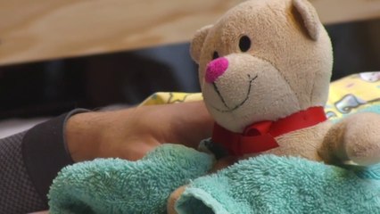 Het raadsel rondom Teddy