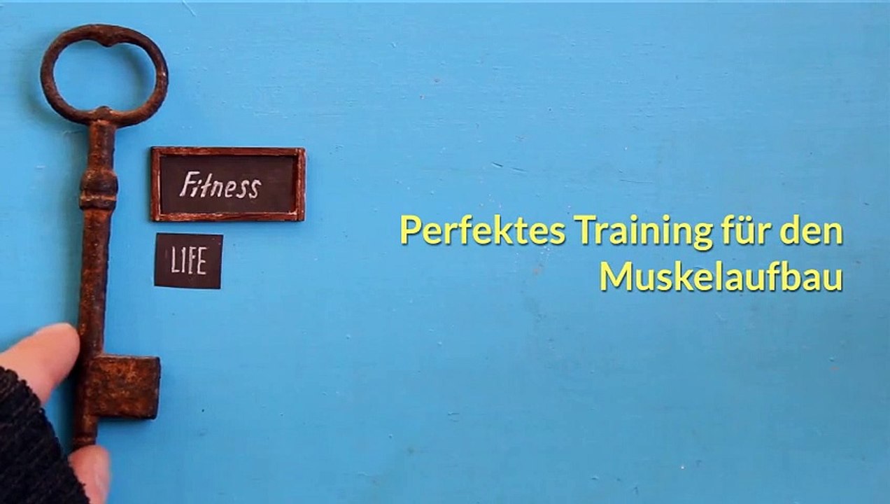Perfektes Training für den Muskelaufbau