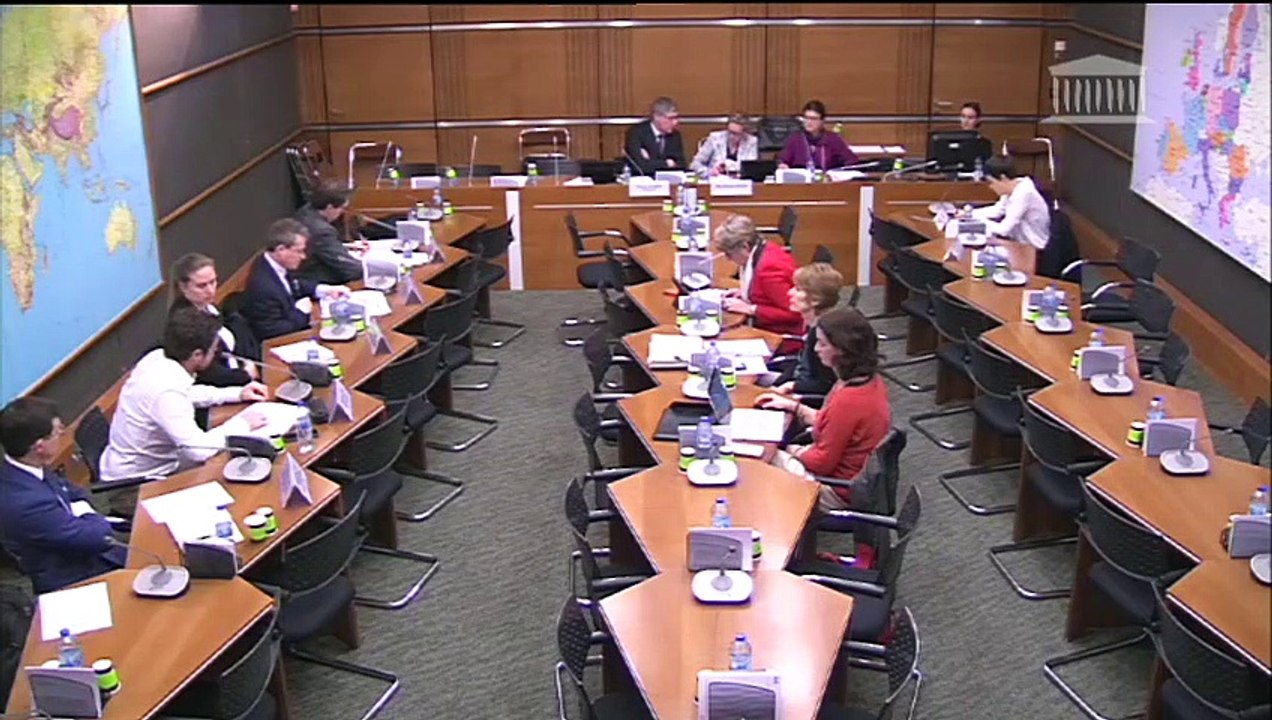 Freins à la transition énergétique : Transition énergétique dans le transport maritime et le transport aérien - Jeudi 7 février 2019