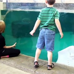 Funny video children crying to see fishes in zoo,awesome...