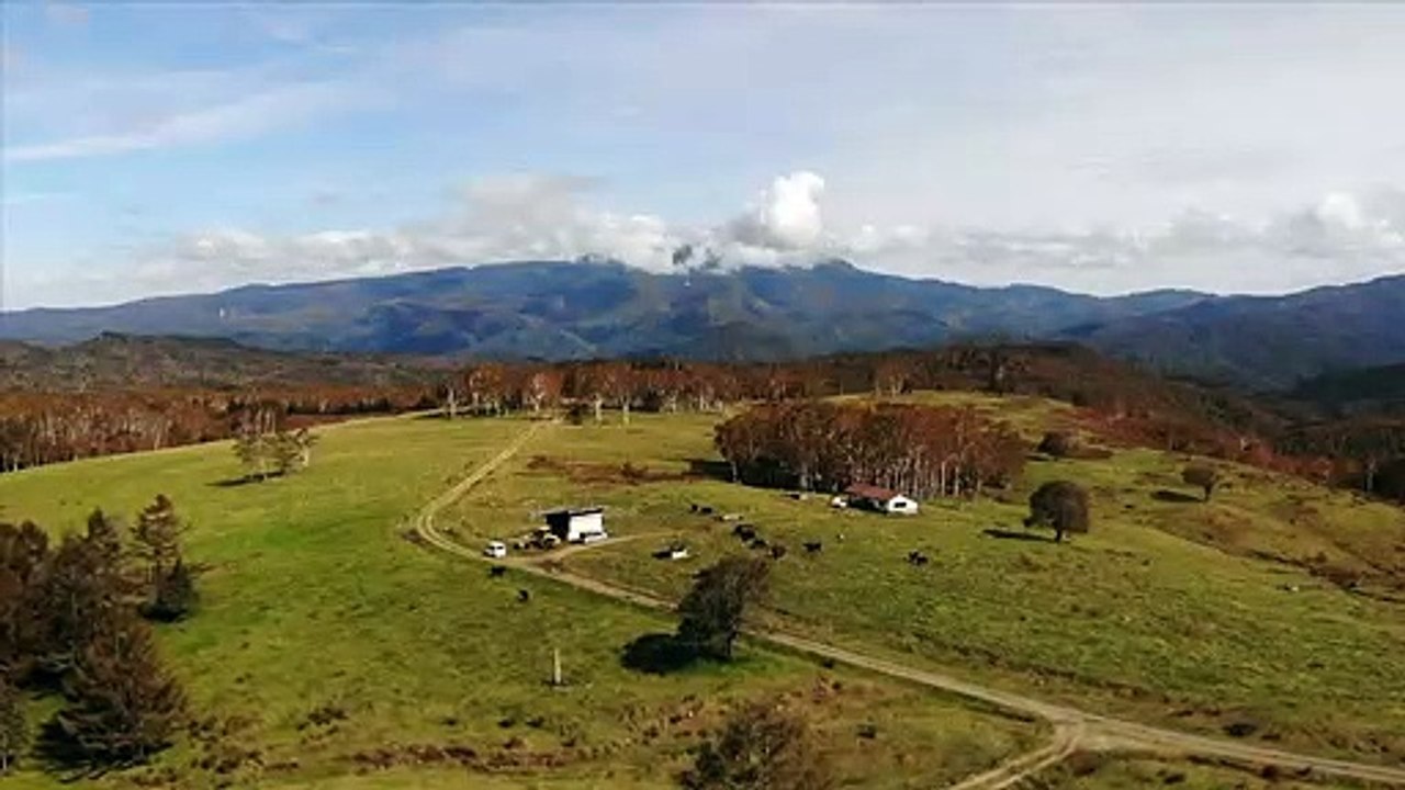 Japanisches Luxus-Rind soll Exportschlager werden