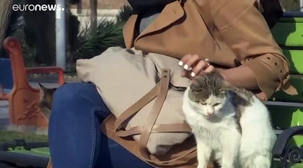 "أطفال الثورة الإيرانية" بعد أربعين عاماً...هذا مآلهم