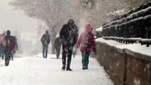 Ahlat'ta kar yağışı - BİTLİS