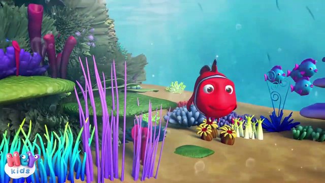 İki Uzun Kulağım Bir Fısıltıyı Duyar - Tavşan şarkısı ve 20 dakika Çocuk Şarkıları