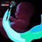فيديو معلوماتى.. 5 فوائد لحديث الحامل مع الجنين فى الرحم