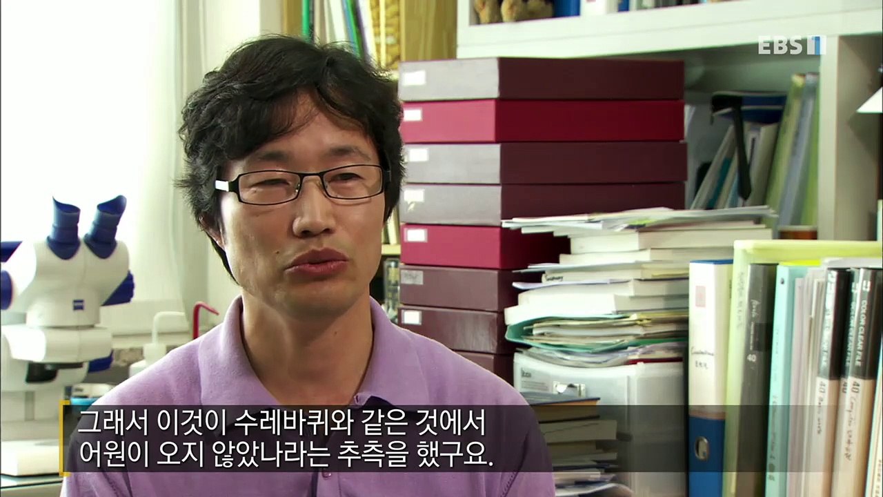 EBS 다큐프라임 - Docuprime_[바퀴- 바퀴 소나타]_#001