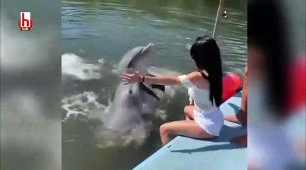 Ünlü manken yunusla oynamak istedi başına gelmeyen kalmadı