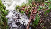 UK due 70mph winds as Lake District rivers become raging torrents