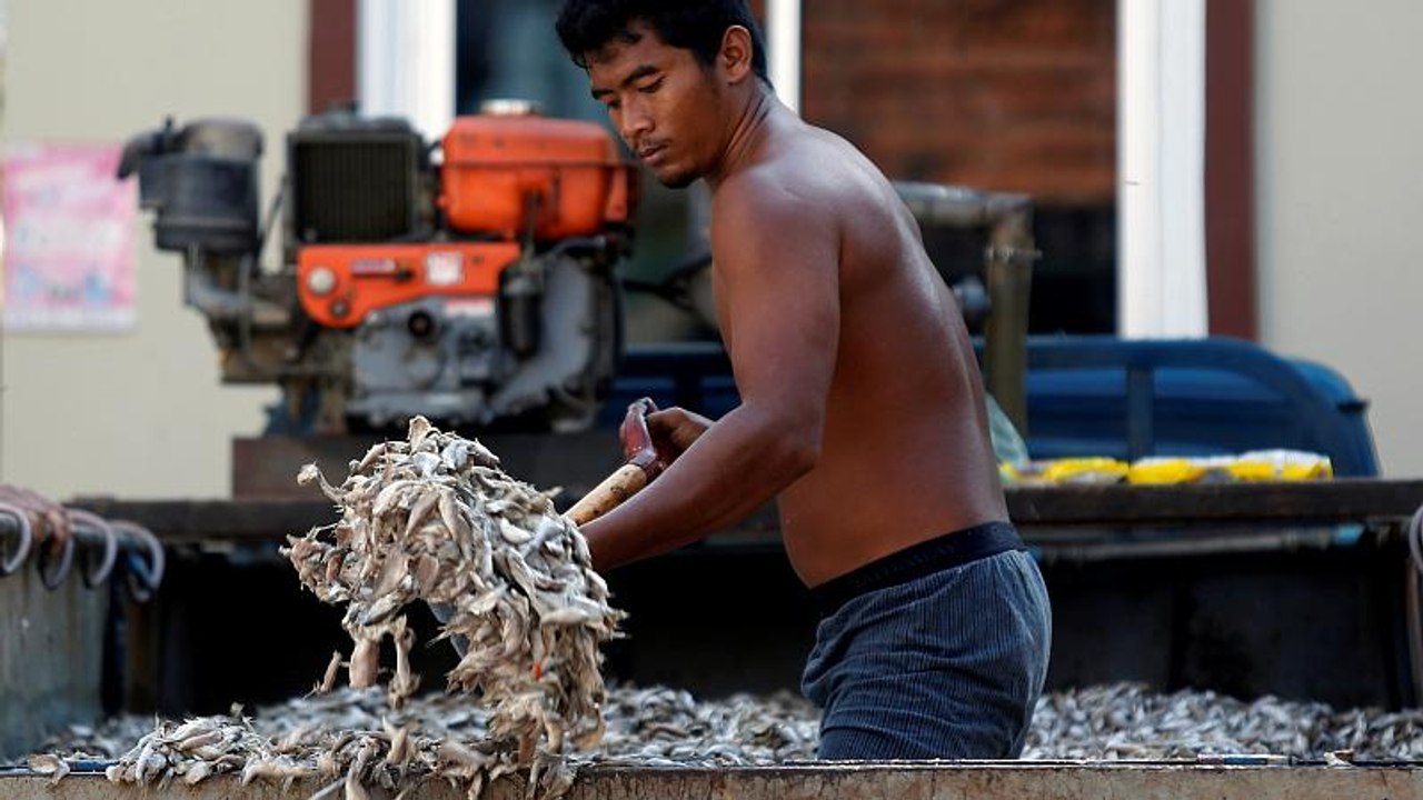 Thailand sagt illegalem Fischfang den Kampf an