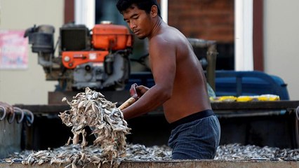 Pêche illégale : la Thaïlande fait des progrès