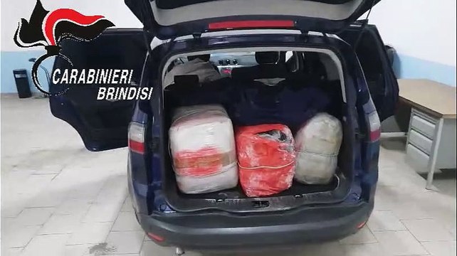 Fasano, sequestro 130 Kg marijuana