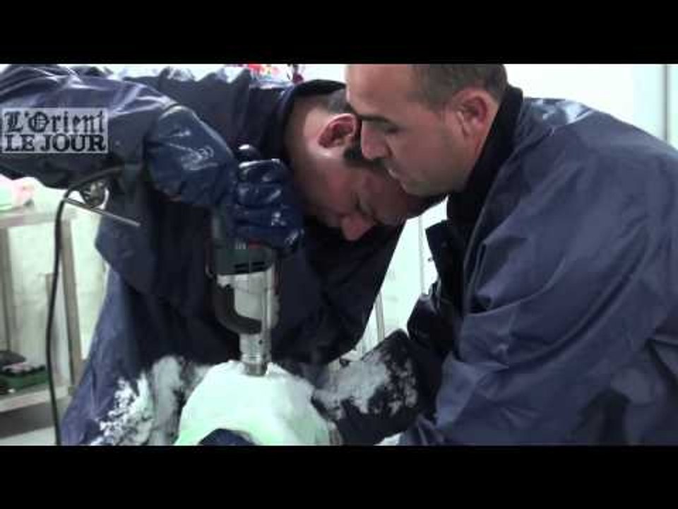 Rony Mahfouz, sculpteur sur glace - OLJ