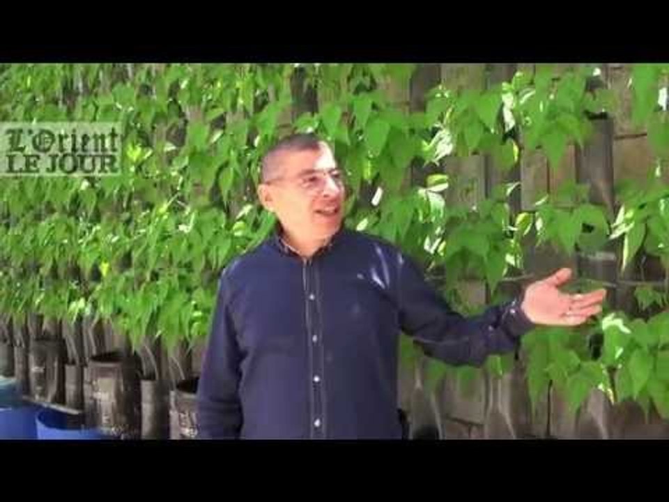 L'aquaponie : mode d'emploi / L'Orient-Le Jour