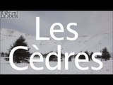 Stations de ski au Liban : suivez le guide. Les Cèdres (4/6)