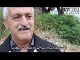 Le Village Préféré Des Libanais : #1 Akkar el-Atika, nichée au cœur des sapins