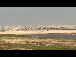 Les oiseaux près des pistes de l'aéroport de Beyrouth.