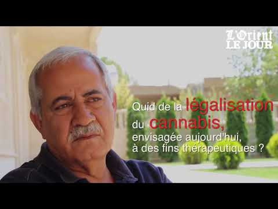 Légalisation du cannabis thérapeutique au Liban :  qu'en pense-t-on à Yammouné ?
