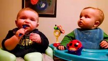Cute Twins Baby Fighting Over