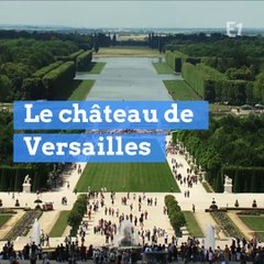 Carlos Ghosn est "prêt" à rembourser les 50.000 euros de son mariage à Versailles