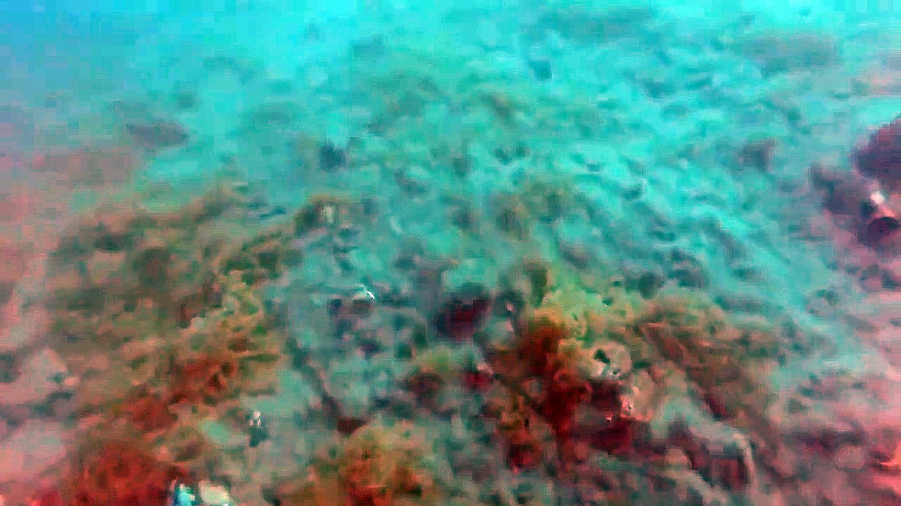 Voici à quoi ressemble un séisme sous l'eau !