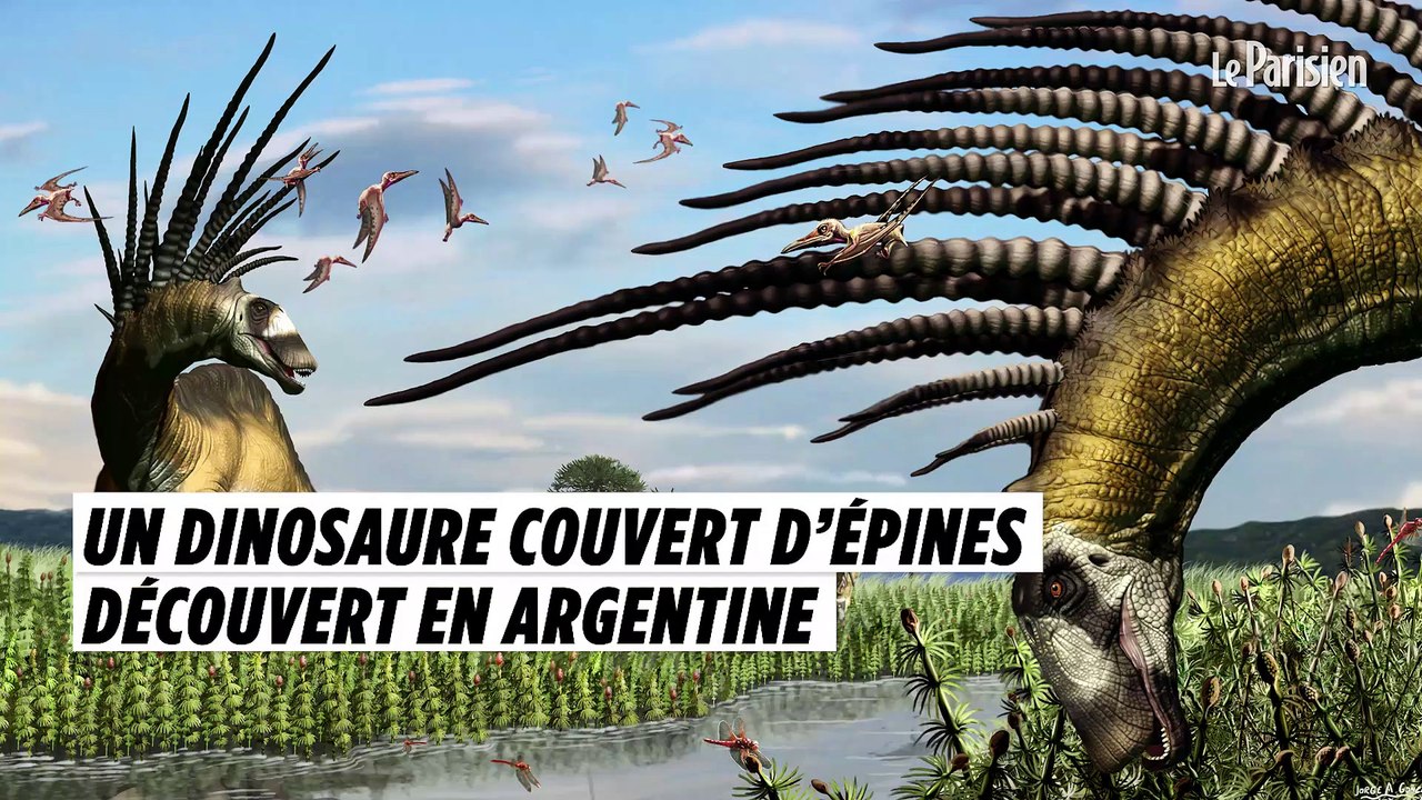 Un nouveau dinosaure couvert d’épines découvert en Argentine
