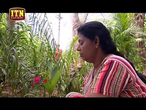 Kopi Kade Teledrama - 1661 - 08th February 2019