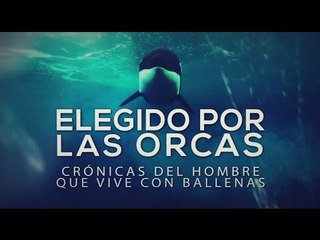 Especiales TN Elegido por las Orcas - Bloque 3