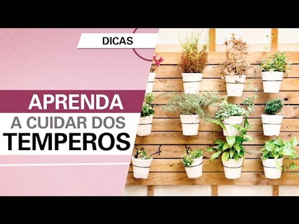 Aprenda a cuidar dos temperos!