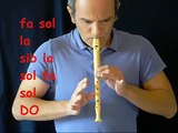 Come suonare con il flauto TITANIC YouTube