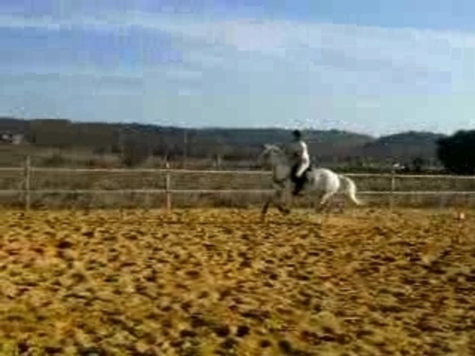 Jiji de la Bresse