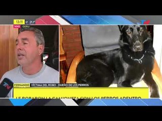 Le robaron la camioneta y sus perros murieron asfixiados adentro