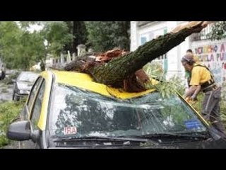 Temporal: ¿Cómo reclamar los destrozos de tu auto?