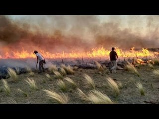 600 mil hectáreas incendiadas en La Pampa