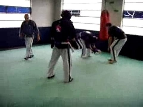 yoseikan-budo (maxou)(superbe high-kick a 1mn53)