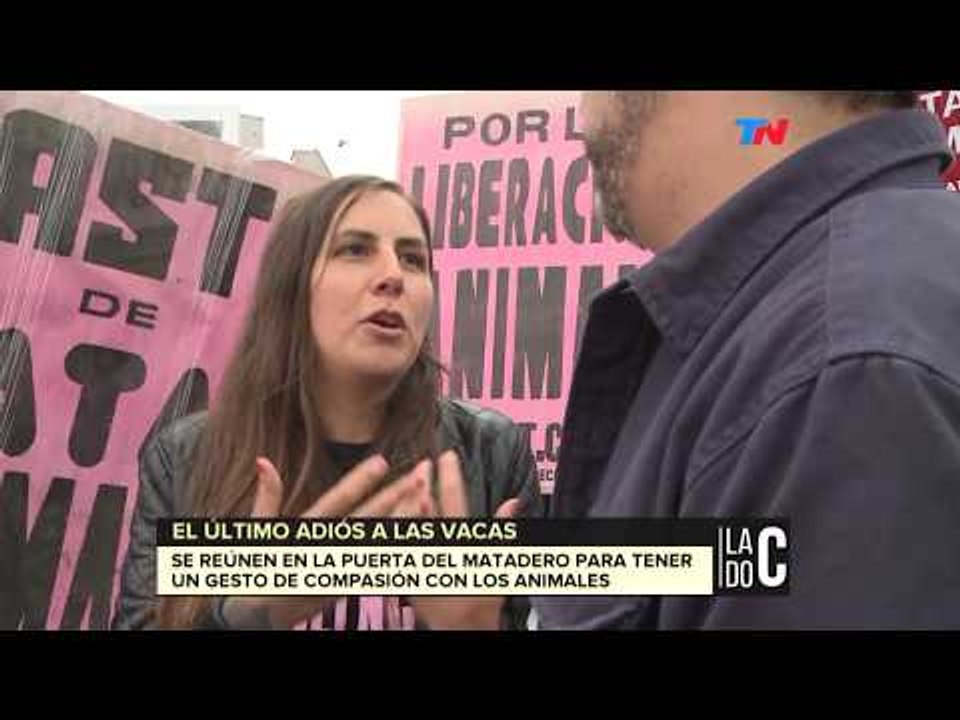 El ultimo adiós a las vacas