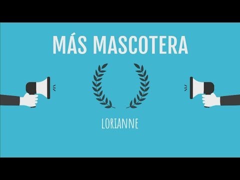 Premios Mario Mazzone Mención 4: Más mascotera
