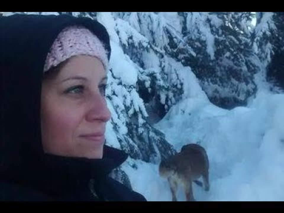 Femicidio en Bariloche: mató a su pareja a metros de la catedral