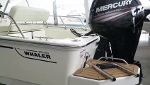 2019 Boston Whaler 170 Montauk For Sale MarineMax Rogers Minnesota