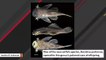 'Hideously Adorable' Catfish Species Discovered In Amazon