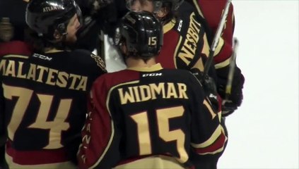 ECHL Atlanta Gladiators 2 South Carolina Stingrays 1 (OT)